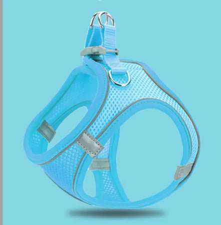 Reflective Pet Vest & Leash Combo — Breathable All-Season Harness with Safety Traction Rope, Adjustable Sizes - petcareville