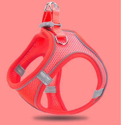 Reflective Pet Vest & Leash Combo — Breathable All - Season Harness with Safety Traction Rope, Adjustable Sizes