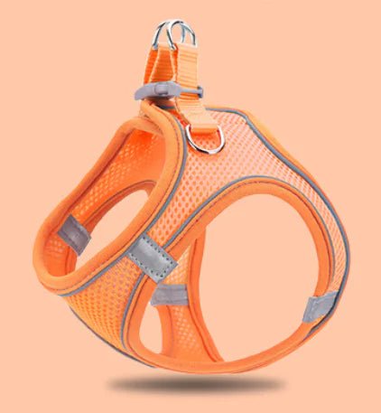 Reflective Pet Vest & Leash Combo — Breathable All-Season Harness with Safety Traction Rope, Adjustable Sizes - petcareville