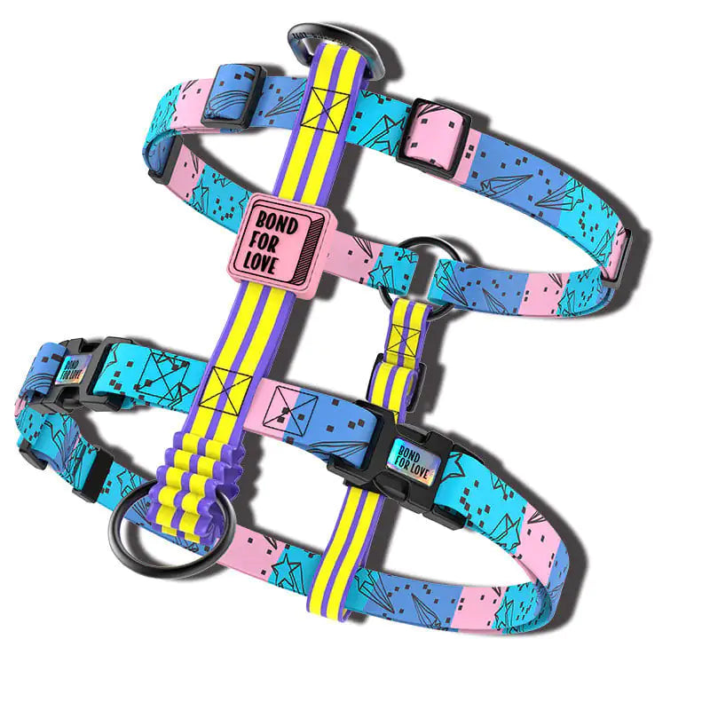 Big Dog Secure Harness Vest with Okinawa Leash