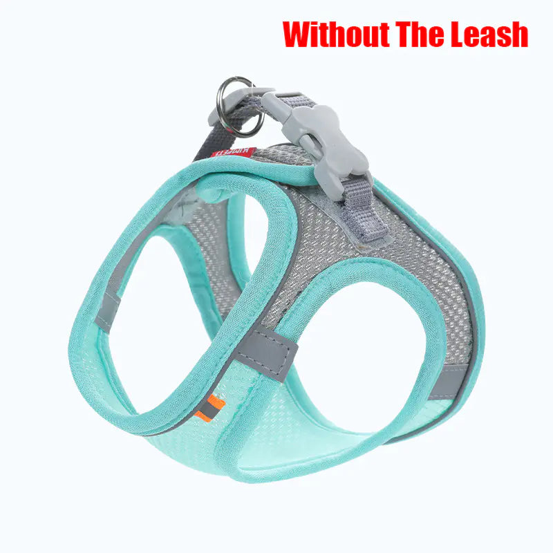 IllumiMesh Dog Harness with Leash