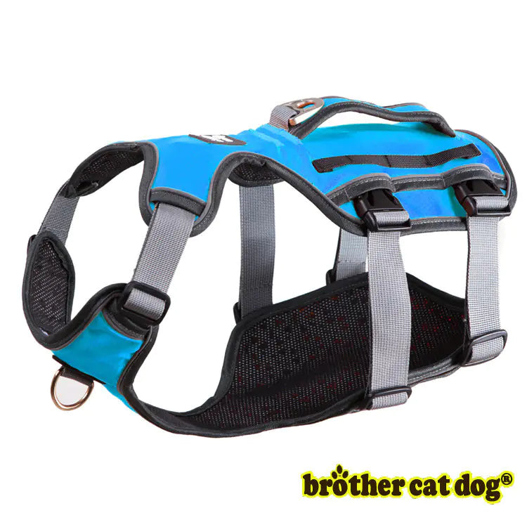 Cool Mesh Pet Harness & Leash Combo