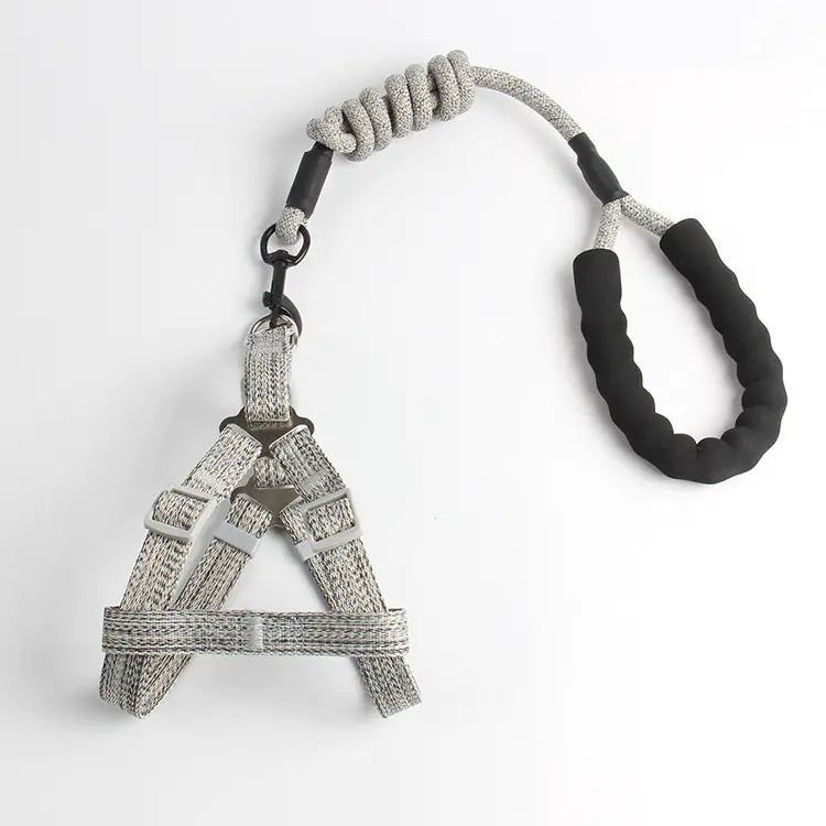 Small Dog Walk Set - Wholesale