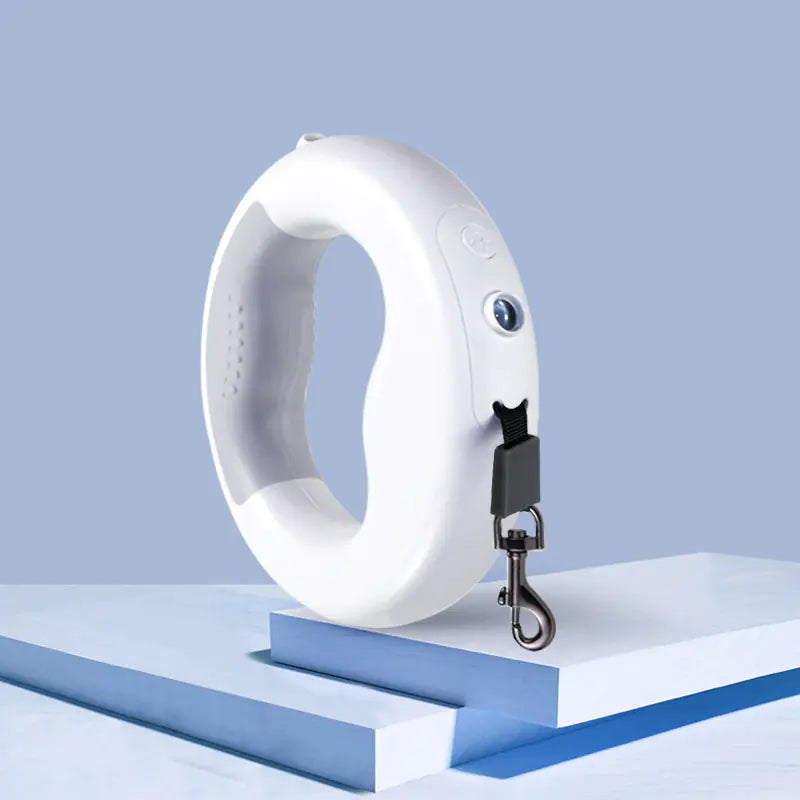 FlexiPet Retractable Dog Leash