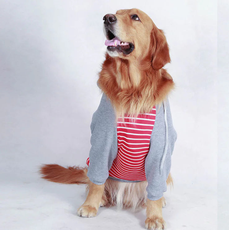 Autumn/Winter Large Dog Cotton Hoodie