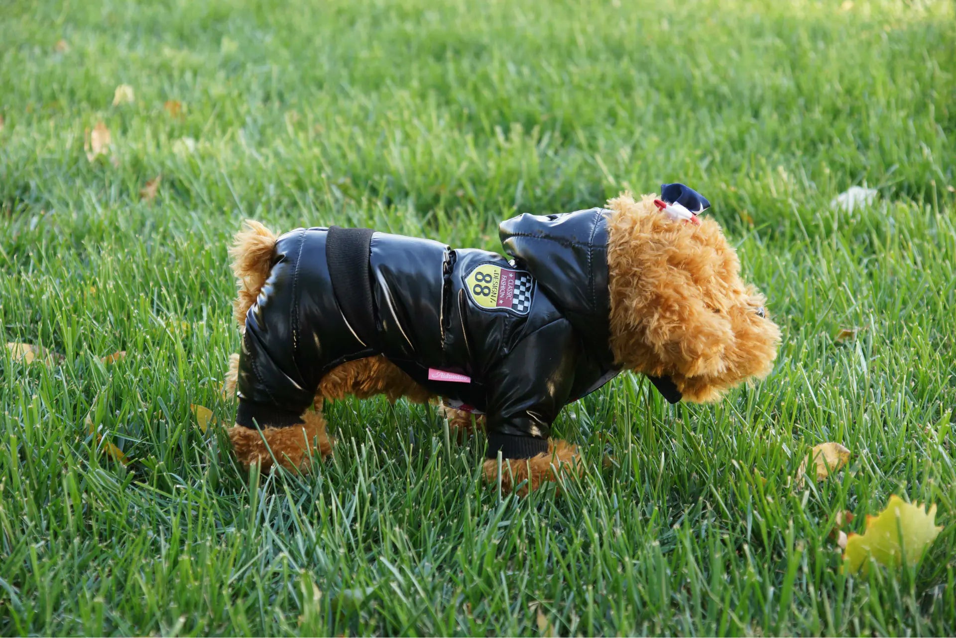 Cozy Pet Winter Down Jacket