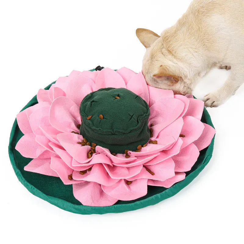 Sniff & Play Detachable Mat