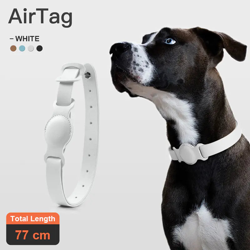 SecureLeather Pet Collar Case
